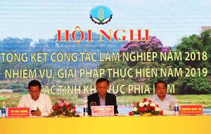 Công tác bảo vệ và phát triển rừng đạt nhiều kết quả tích cực