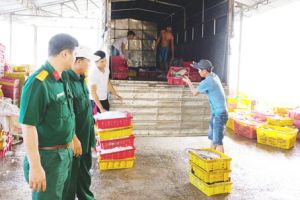 ​Tăng gia sản xuất ở hồ Sông Mây