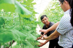 10 sự kiện nổi bật của tỉnh Đồng Nai năm 2018