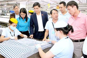 Chú trọng thực thi quyền lợi cho lao động nữ trong doanh nghiệp