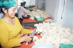 Tăng “chất” cho hợp tác xã