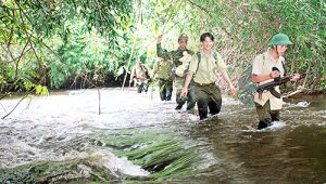 Để rừng mãi xanh...