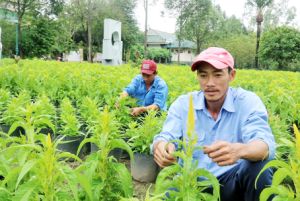 Những “điểm hẹn” mùa xuân
