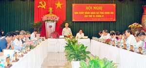 Hội nghị BCH Đảng bộ tỉnh lần thứ 15 (khóa X): Phấn đấu thực hiện thành công mục tiêu đề ra trong năm 2019