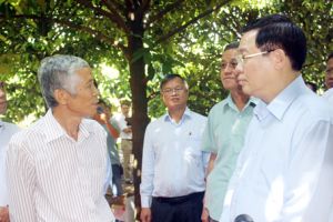 ​Trồng trái cây chuẩn VietGAP