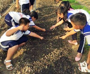 Tạo sức sống mới cho phong trào “Kế hoạch nhỏ”