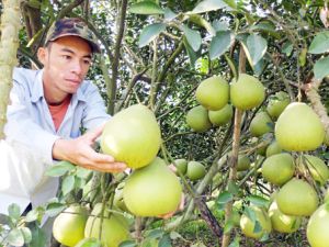 ​Xuân về trên mọi nẻo đường quê