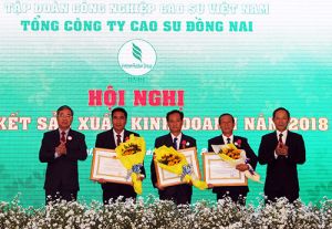Tổng công ty Cao su Đồng Nai phấn đấu khai thác 26.400 tấn mủ trong năm 2019
