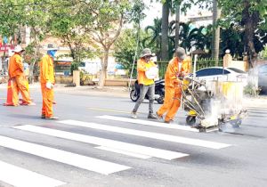 ​Phố phường sạch đẹp, hoa xuân khoe sắc đón tết