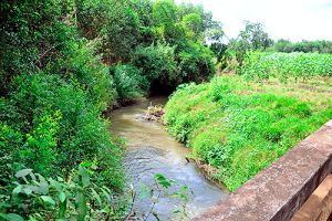 Chủ động hệ thống giao thông ngoại vi và thoát nước