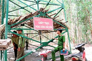 Quyết tâm giữ rừng mùa khô