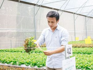 Thúc đẩy đổi mới sáng tạo khởi nghiệp