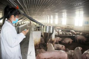 ​Khẩn cấp và đồng bộ phòng, chống dịch