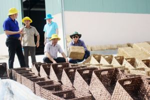 ​Xây dựng nông thôn mới: “Thước đo” phải là đời sống nông dân