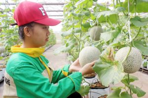 ​Điều tra 2 dự án Khoa học - công nghệ gây thiệt hại tài sản nhà nước