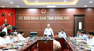 Thành lập ngay Ban chỉ đạo phòng, chống bệnh dịch tả heo châu Phi