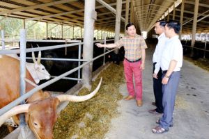 ​Doanh nhân nặng lòng với nông dân