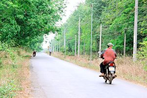 Dự án Sân bay quốc tế Long Thành: Sẵn sàng cho công tác kiểm đếm, bồi thường
