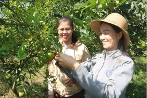 Góp sức nhỏ cùng cộng đồng