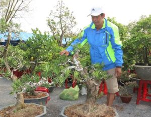 70 nhà vườn tham gia chợ phiên sinh vật cảnh lần 8