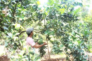 Tạo cơ hội cho người hoàn lương