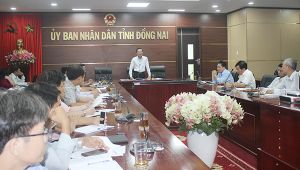 ​Ra mắt Ban Chỉ đạo phòng, chống khẩn cấp dịch tả heo châu Phi tỉnh Đồng Nai