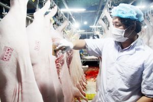​Đề nghị các đơn vị hỗ trợ tiêu thụ thịt heo an toàn