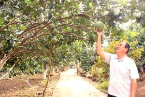 ​Làm thương hiệu cho đặc  sản Đồng Nai