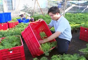 Đồng hành cùng thanh niên nông thôn lập nghiệp