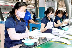 Sức hút từ phong trào thi đua “Lao động giỏi, lao động sáng tạo"