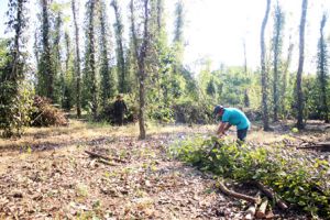 ​Đừng để nông dân gặp phải “mùa vụ đắng”