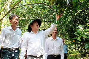 Đổi thay trên vùng chiến khu anh hùng