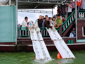 Đồng bào Phật tử Đồng Nai góp phần thực hiện an sinh xã hội