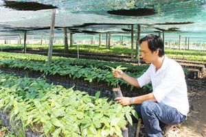 Bỏ tư duy  “giải cứu” - Làm nông với suy nghĩ doanh nhân