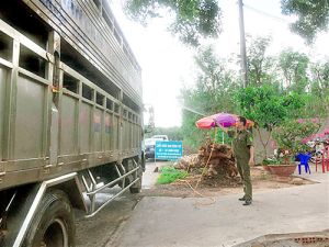 Dịch tả heo châu Phi diễn biến phức tạp