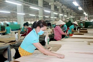 Nỗ lực cải thiện môi trường làm việc