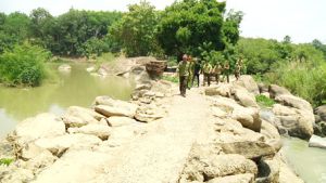 ​Giữ cho rừng mãi xanh