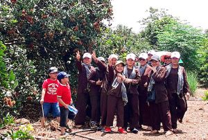 Hấp dẫn du lịch vườn trái cây Long Khánh