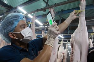 ​Hoàn thành dự án Lifsap