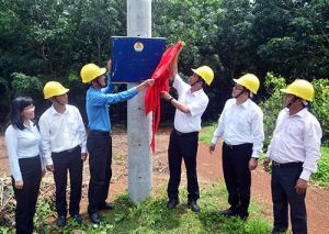 Gắn biển thi đua công trình lưới điện phục vụ sản xuất nông nghiệp