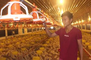 ​2,5 tỷ USD đầu tư vào nông nghiệp, nông thôn