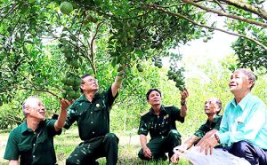 Hiệu quả từ phong trào Cựu chiến binh gương mẫu