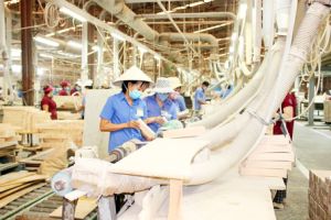 Nhiều doanh nghiệp ngành gỗ sai phạm trong lĩnh vực lao động