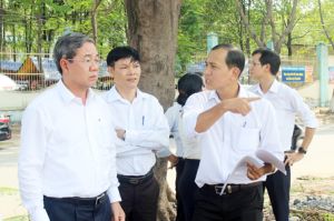 Chuẩn bị đấu giá nhiều khu đất “vàng”