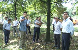 Khảo sát vùng phát triển nông nghiệp công nghệ cao ở huyện Vĩnh Cửu