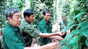 Đẩy mạnh phong trào thi đua “Cựu chiến binh gương mẫu”
