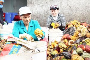 ​“Gỡ khó” 2 cụm công nghiệp chế biến nông sản