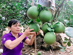 Huyện Tân Phú “cán đích” nông thôn mới