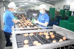 ​Xuân Lộc giữ vững ngọn cờ đầu hậu nông thôn mới
