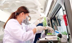 Kiểm nghiệm nhanh an toàn thực phẩm